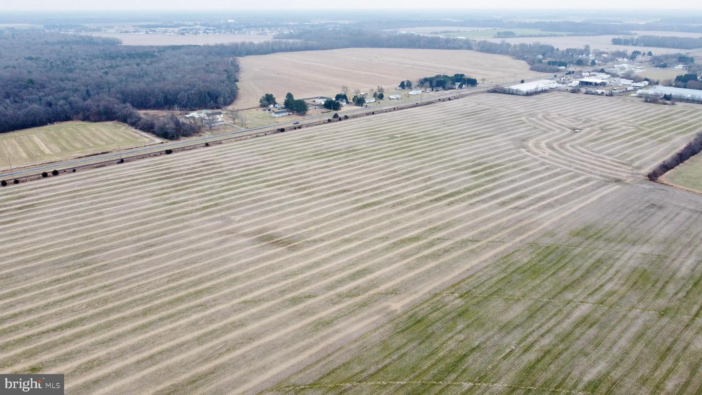 DESU2103348-804454205830-2026-01-18-17-37-35 Parcel 1 - Wilson Farm Rd | Bridgeville, DE Real Estate For Sale | MLS# Desu2103348 - Jack Lingo REALTOR DESU2103348-804454205830-2026-01-18-17-37-35 Parcel 1 - Wilson Farm Rd | Bridgeville, DE Real Estate For Sale | MLS# Desu2103348 - Jack Lingo REALTOR