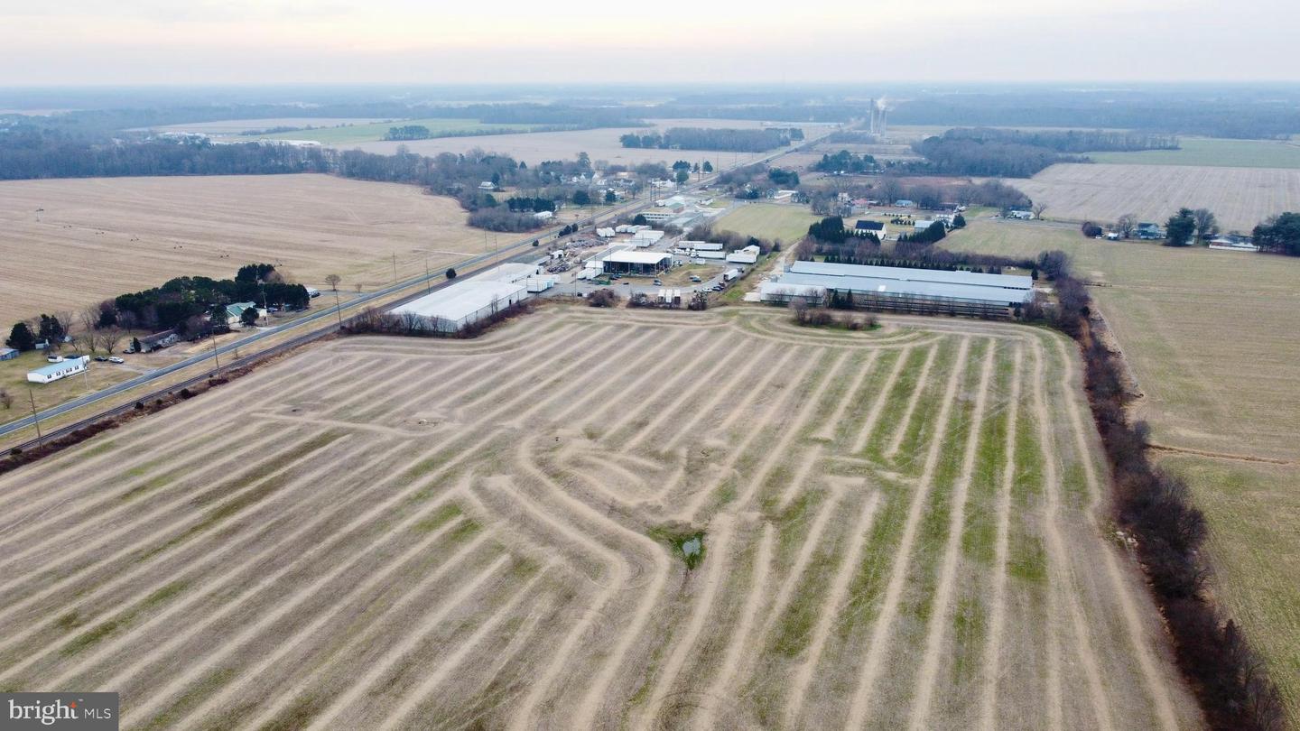DESU2103348-804454205834-2026-01-18-17-37-35 Parcel 1 - Wilson Farm Rd | Bridgeville, DE Real Estate For Sale | MLS# Desu2103348 - Jack Lingo REALTOR DESU2103348-804454205834-2026-01-18-17-37-35 Parcel 1 - Wilson Farm Rd | Bridgeville, DE Real Estate For Sale | MLS# Desu2103348 - Jack Lingo REALTOR