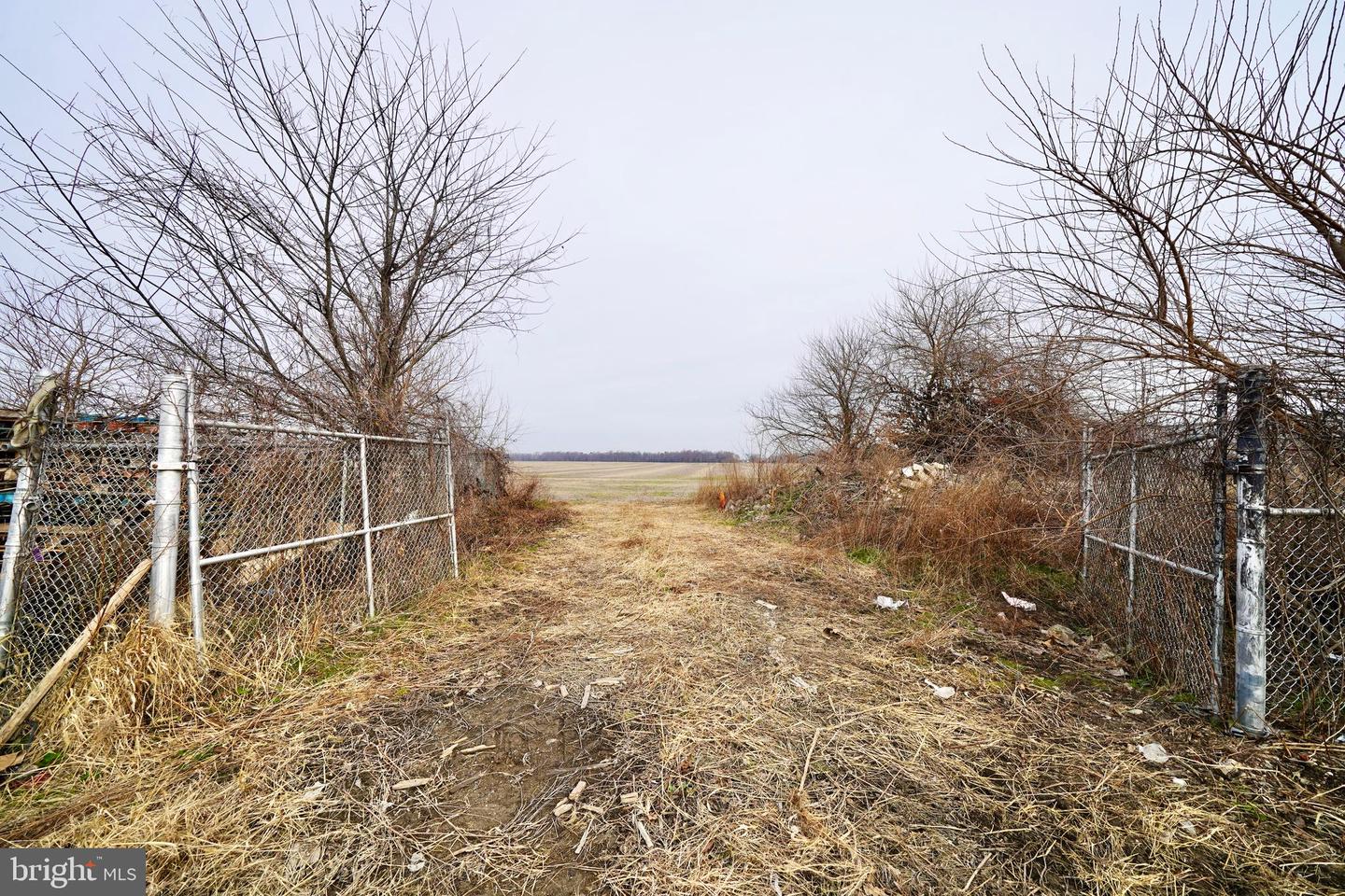 DESU2103348-804454205838-2026-01-18-17-37-35 Parcel 1 - Wilson Farm Rd | Bridgeville, DE Real Estate For Sale | MLS# Desu2103348 - Jack Lingo REALTOR DESU2103348-804454205838-2026-01-18-17-37-35 Parcel 1 - Wilson Farm Rd | Bridgeville, DE Real Estate For Sale | MLS# Desu2103348 - Jack Lingo REALTOR