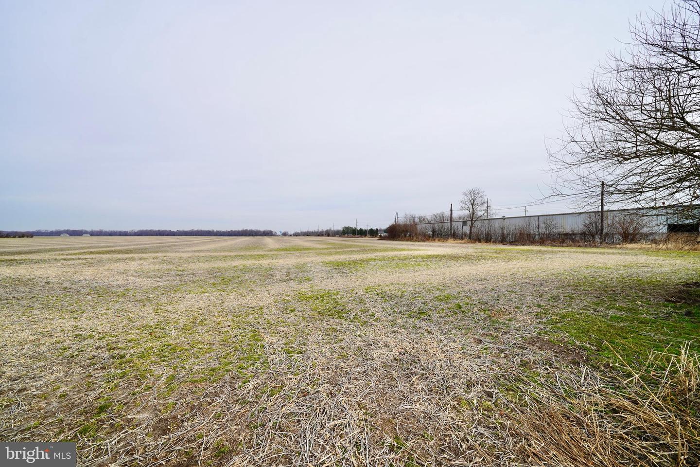 DESU2103348-804454205846-2026-01-18-17-37-35 Parcel 1 - Wilson Farm Rd | Bridgeville, DE Real Estate For Sale | MLS# Desu2103348 - Jack Lingo REALTOR DESU2103348-804454205846-2026-01-18-17-37-35 Parcel 1 - Wilson Farm Rd | Bridgeville, DE Real Estate For Sale | MLS# Desu2103348 - Jack Lingo REALTOR