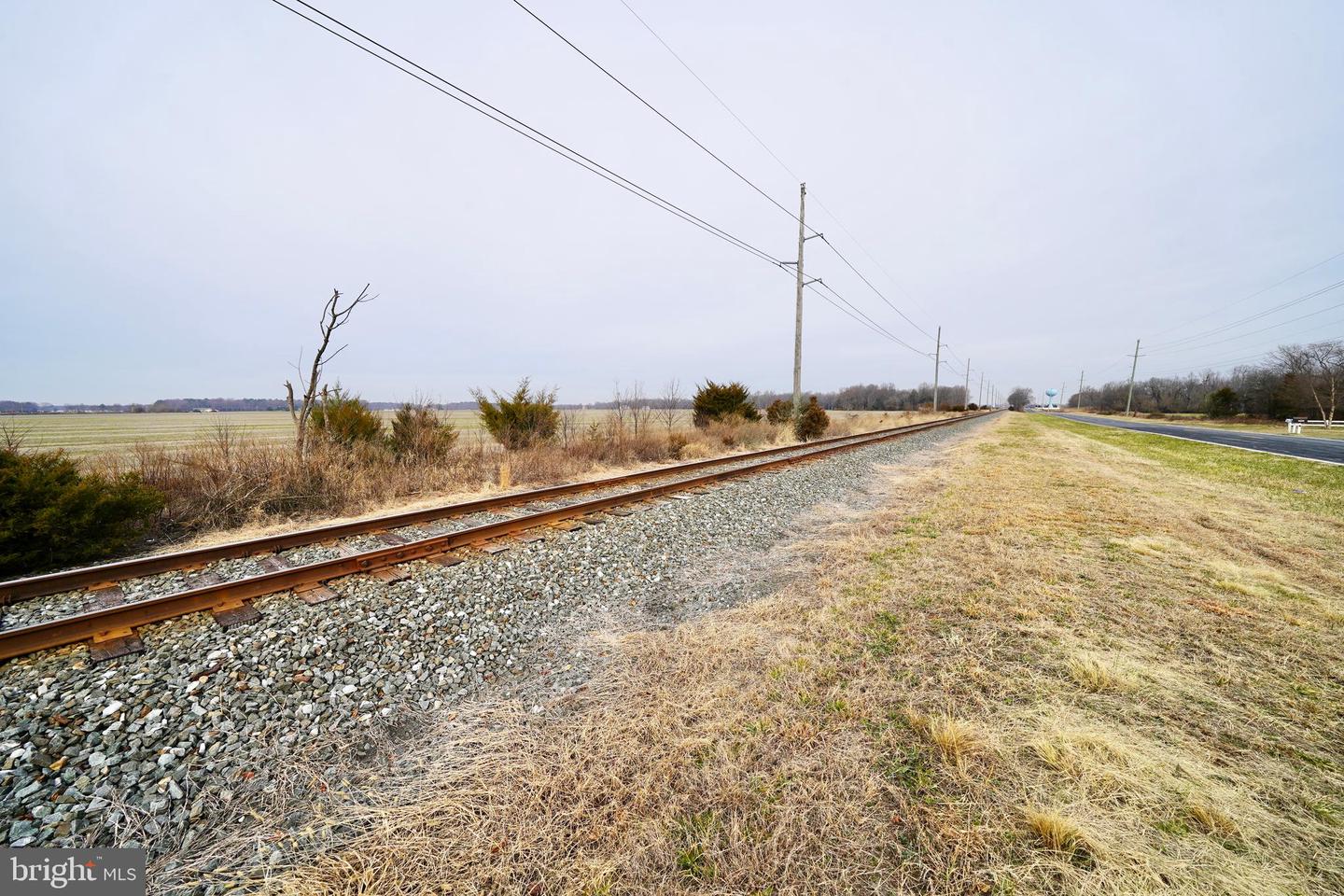 DESU2103348-804454205860-2026-01-18-17-37-36 Parcel 1 - Wilson Farm Rd | Bridgeville, DE Real Estate For Sale | MLS# Desu2103348 - Jack Lingo REALTOR DESU2103348-804454205860-2026-01-18-17-37-36 Parcel 1 - Wilson Farm Rd | Bridgeville, DE Real Estate For Sale | MLS# Desu2103348 - Jack Lingo REALTOR