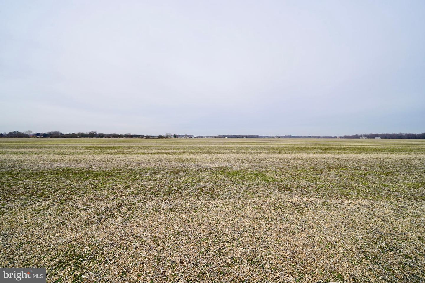 DESU2103348-804454205888-2026-01-18-17-37-35 Parcel 1 - Wilson Farm Rd | Bridgeville, DE Real Estate For Sale | MLS# Desu2103348 - Jack Lingo REALTOR DESU2103348-804454205888-2026-01-18-17-37-35 Parcel 1 - Wilson Farm Rd | Bridgeville, DE Real Estate For Sale | MLS# Desu2103348 - Jack Lingo REALTOR