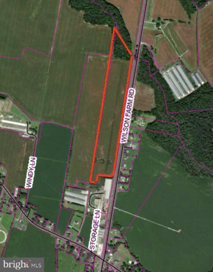 DESU2103348-804454205910-2026-01-18-17-37-35 Parcel 1 - Wilson Farm Rd | Bridgeville, DE Real Estate For Sale | MLS# Desu2103348 - Jack Lingo REALTOR DESU2103348-804454205910-2026-01-18-17-37-35 Parcel 1 - Wilson Farm Rd | Bridgeville, DE Real Estate For Sale | MLS# Desu2103348 - Jack Lingo REALTOR
