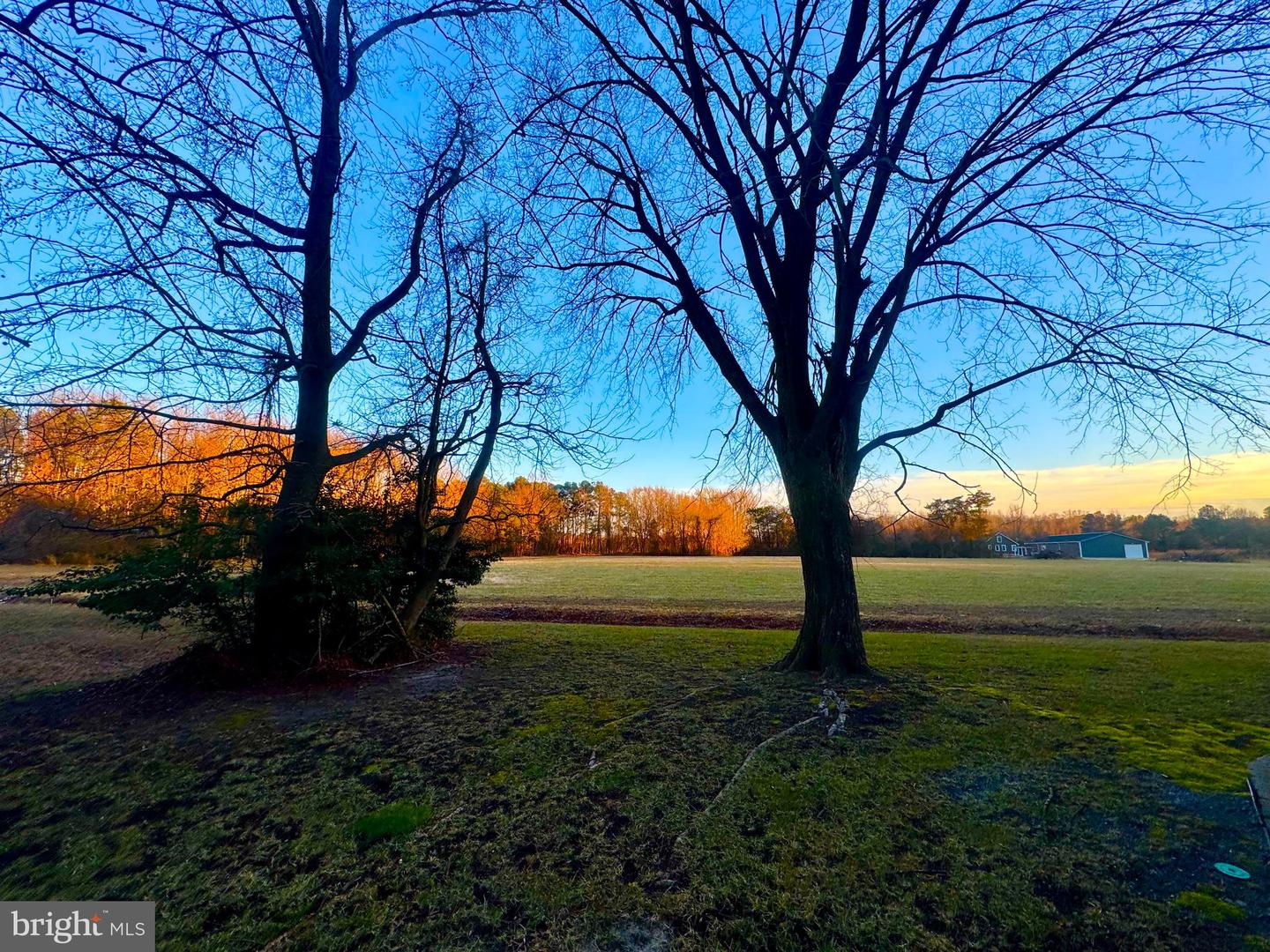 DESU2103350-804474901048-2026-02-11-00-10-33 6 Cinderberry Ct | Georgetown, DE Real Estate For Sale | MLS# Desu2103350 - Jack Lingo REALTOR DESU2103350-804474901048-2026-02-11-00-10-33 6 Cinderberry Ct | Georgetown, DE Real Estate For Sale | MLS# Desu2103350 - Jack Lingo REALTOR