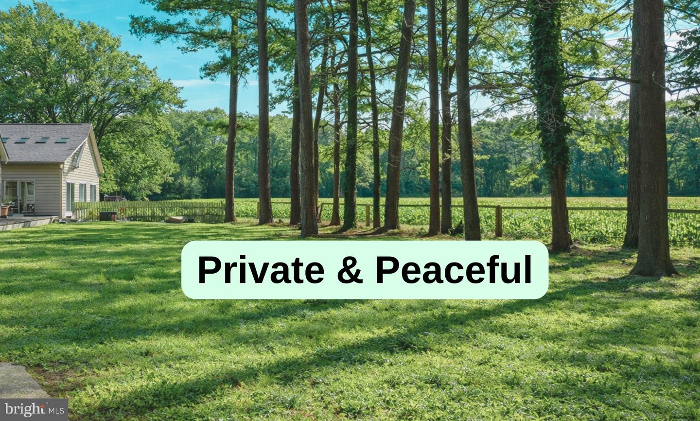 DESU2103350-804501455762-2026-02-11-00-10-30 6 Cinderberry Ct | Georgetown, DE Real Estate For Sale | MLS# Desu2103350 - Jack Lingo REALTOR DESU2103350-804501455762-2026-02-11-00-10-30 6 Cinderberry Ct | Georgetown, DE Real Estate For Sale | MLS# Desu2103350 - Jack Lingo REALTOR