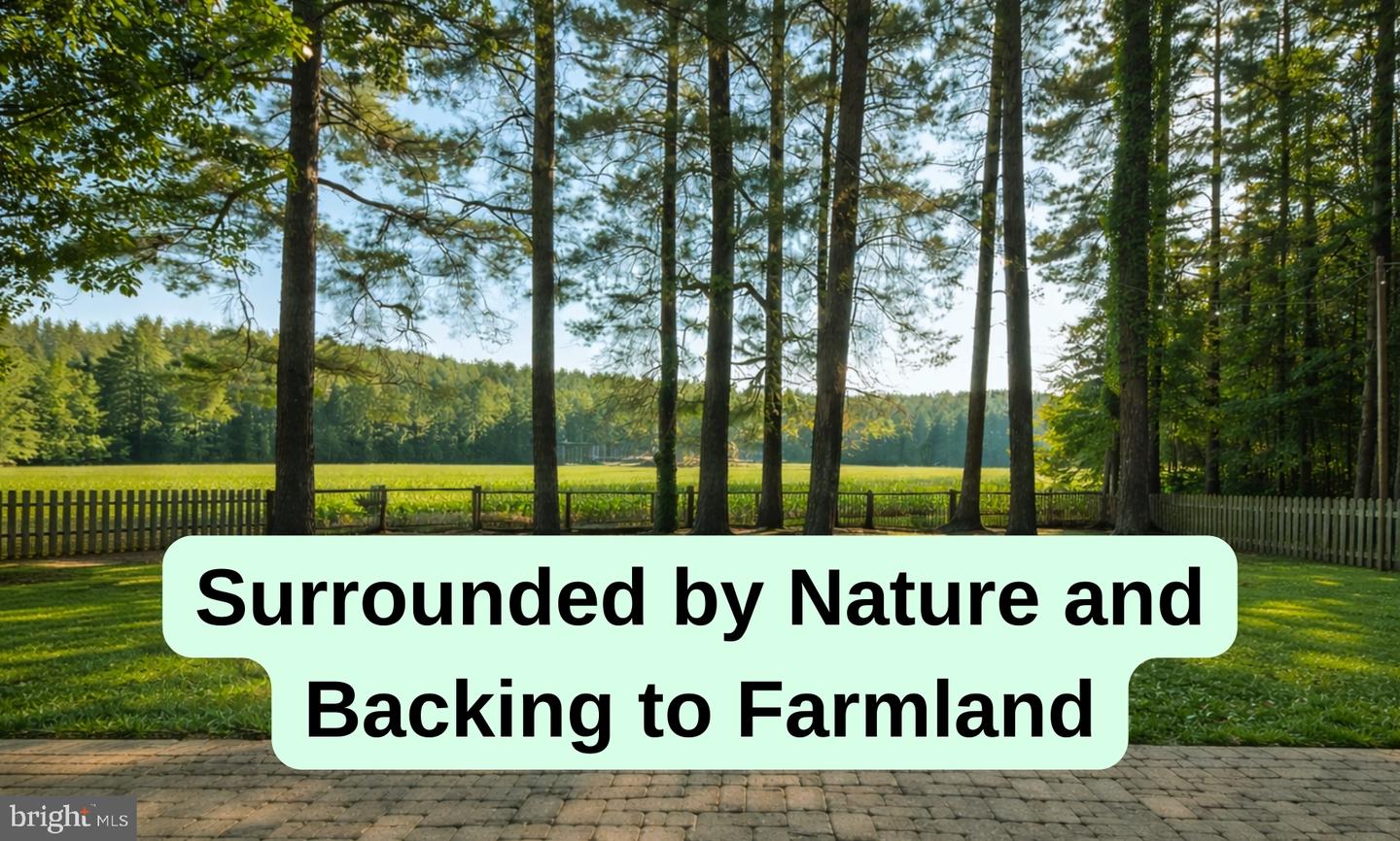 DESU2103350-804501455956-2026-02-11-00-10-30 6 Cinderberry Ct | Georgetown, DE Real Estate For Sale | MLS# Desu2103350 - Jack Lingo REALTOR DESU2103350-804501455956-2026-02-11-00-10-30 6 Cinderberry Ct | Georgetown, DE Real Estate For Sale | MLS# Desu2103350 - Jack Lingo REALTOR