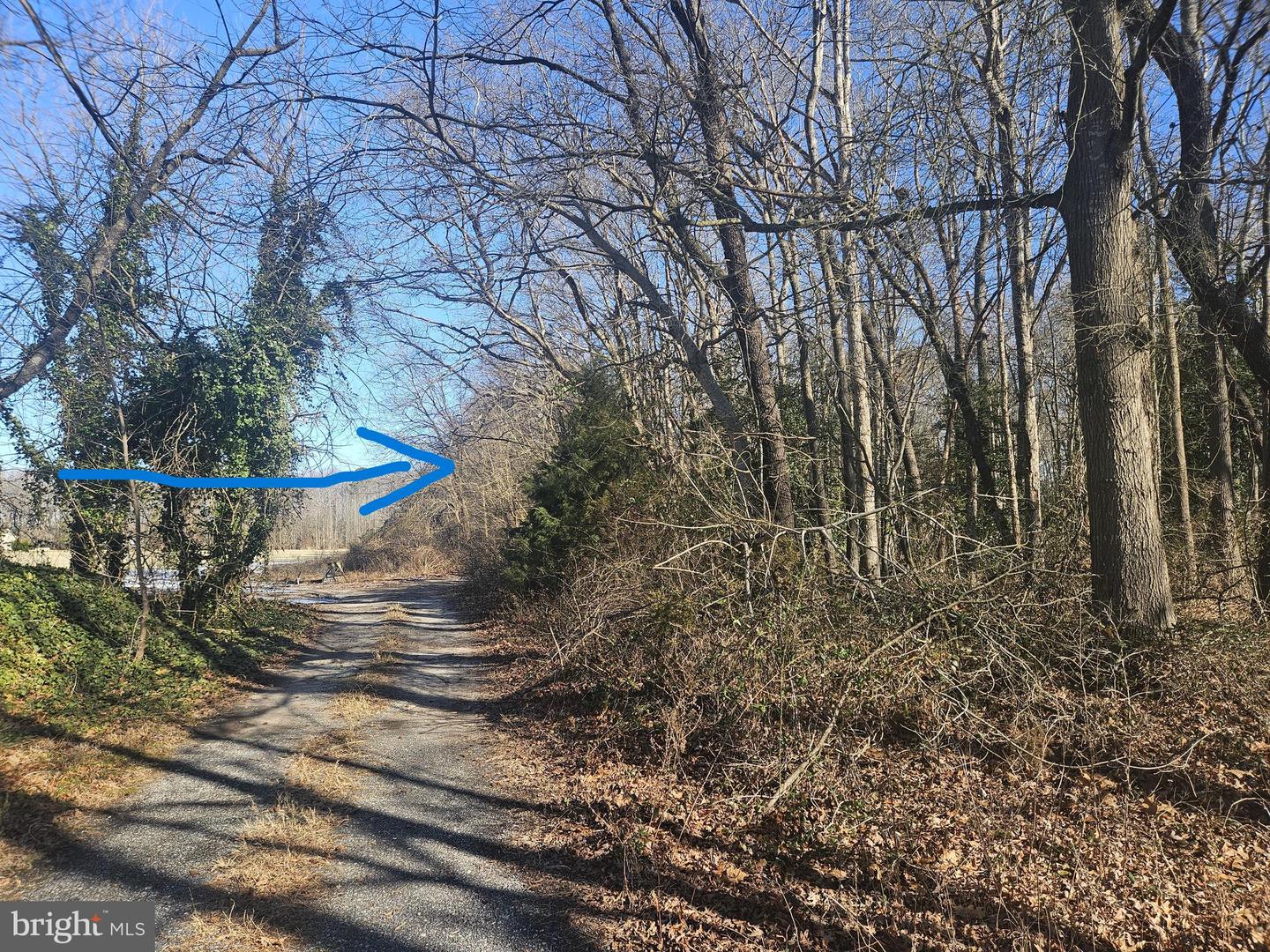 DESU2103488-804464510752-2026-02-19-23-00-59 590 Acess Eas Residual Lands | Greenwood, DE Real Estate For Sale | MLS# Desu2103488  - Jack Lingo REALTOR