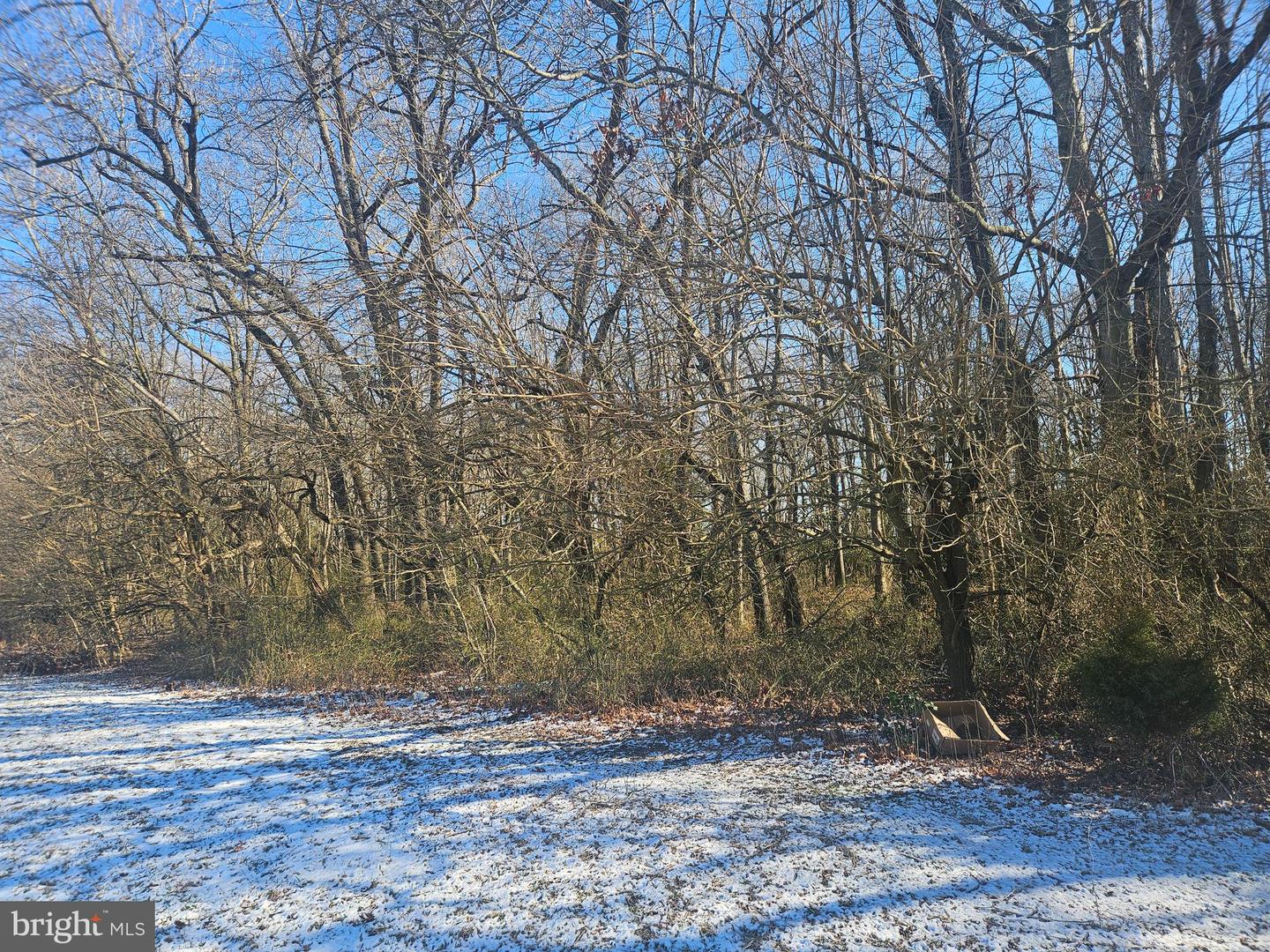 DESU2103488-804464510892-2026-02-19-23-00-59 590 Acess Eas Residual Lands | Greenwood, DE Real Estate For Sale | MLS# Desu2103488  - Jack Lingo REALTOR