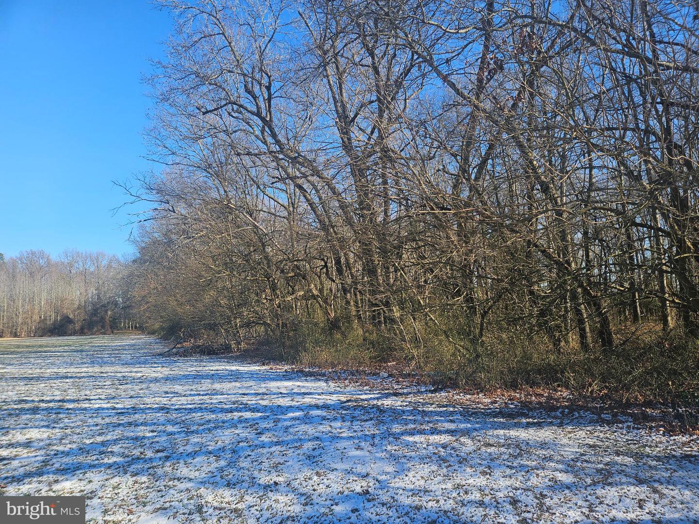 DESU2103488-804464510900-2026-02-19-23-00-59 590 Acess Eas Residual Lands | Greenwood, DE Real Estate For Sale | MLS# Desu2103488  - Jack Lingo REALTOR