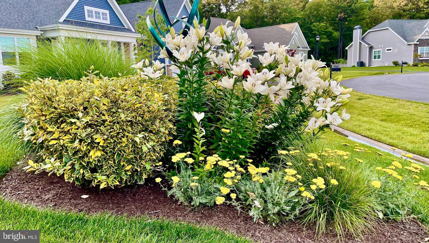 DESU2103506-804516106846-2026-04-22-10-50-24 29606 Patrick Henry Cir | Millsboro, DE Real Estate For Sale | MLS# Desu2103506  - Jack Lingo REALTOR