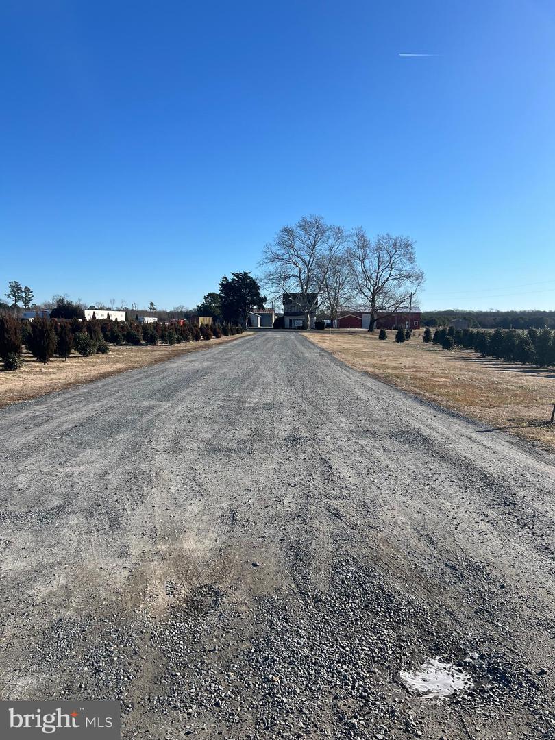 DESU2103524-804462757408-2026-01-21-13-32-11 35811 Providence Church Rd | Delmar, DE Real Estate For Sale | MLS# Desu2103524 - Jack Lingo REALTOR DESU2103524-804462757408-2026-01-21-13-32-11 35811 Providence Church Rd | Delmar, DE Real Estate For Sale | MLS# Desu2103524 - Jack Lingo REALTOR