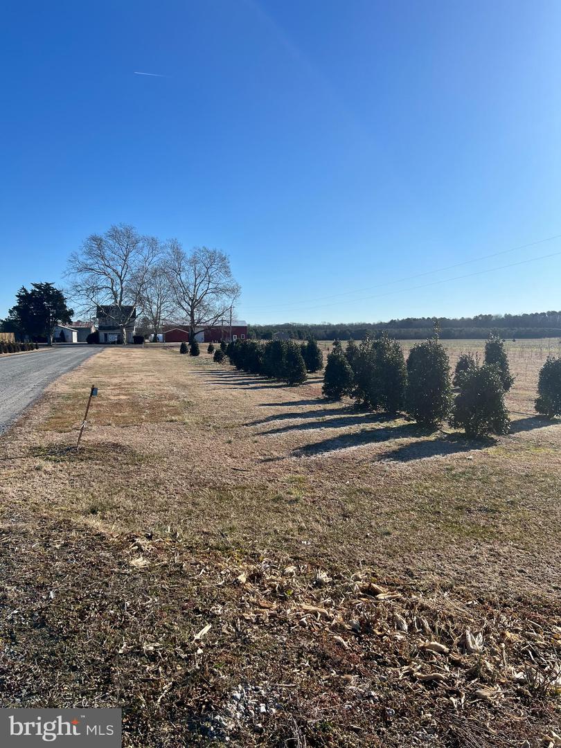 DESU2103524-804462757684-2026-01-21-13-32-12 35811 Providence Church Rd | Delmar, DE Real Estate For Sale | MLS# Desu2103524 - Jack Lingo REALTOR DESU2103524-804462757684-2026-01-21-13-32-12 35811 Providence Church Rd | Delmar, DE Real Estate For Sale | MLS# Desu2103524 - Jack Lingo REALTOR