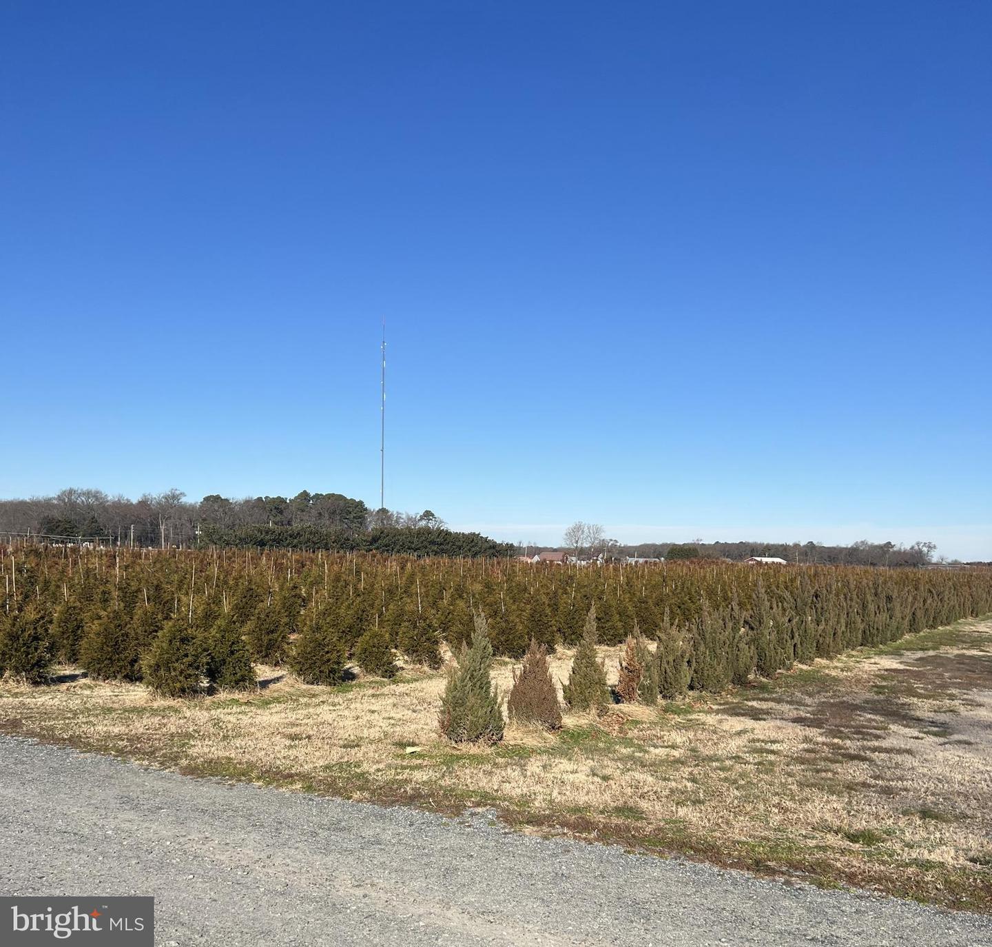 DESU2103524-804462757702-2026-01-21-13-32-11 35811 Providence Church Rd | Delmar, DE Real Estate For Sale | MLS# Desu2103524 - Jack Lingo REALTOR DESU2103524-804462757702-2026-01-21-13-32-11 35811 Providence Church Rd | Delmar, DE Real Estate For Sale | MLS# Desu2103524 - Jack Lingo REALTOR