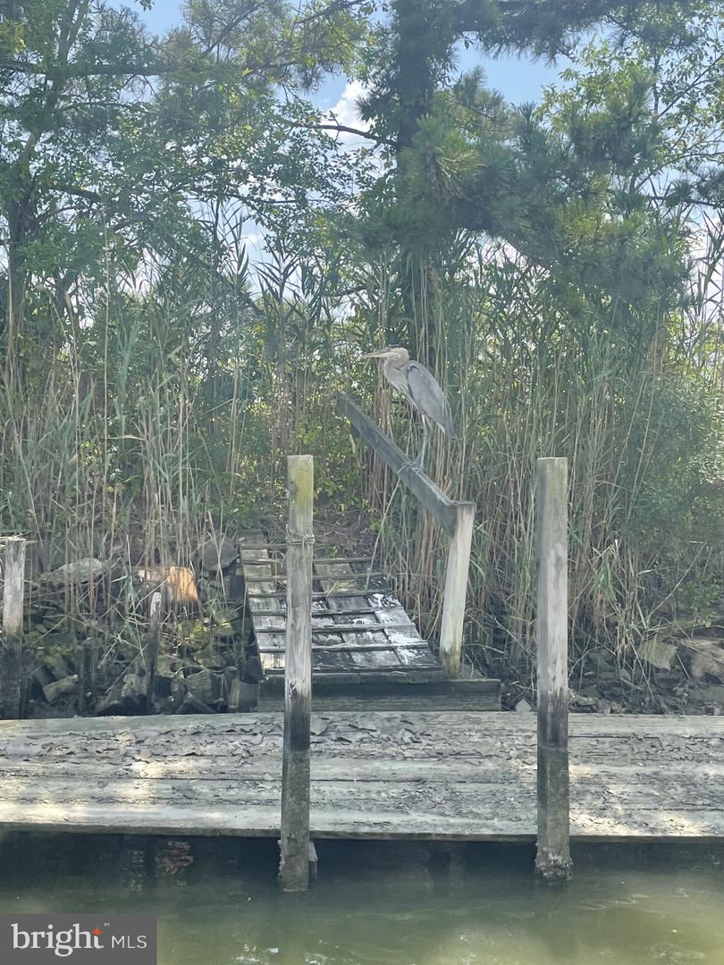 DESU2103686-804508366122-2026-03-05-14-49-51 38315 Canal St | Ocean View, DE Real Estate For Sale | MLS# Desu2103686  - Jack Lingo REALTOR