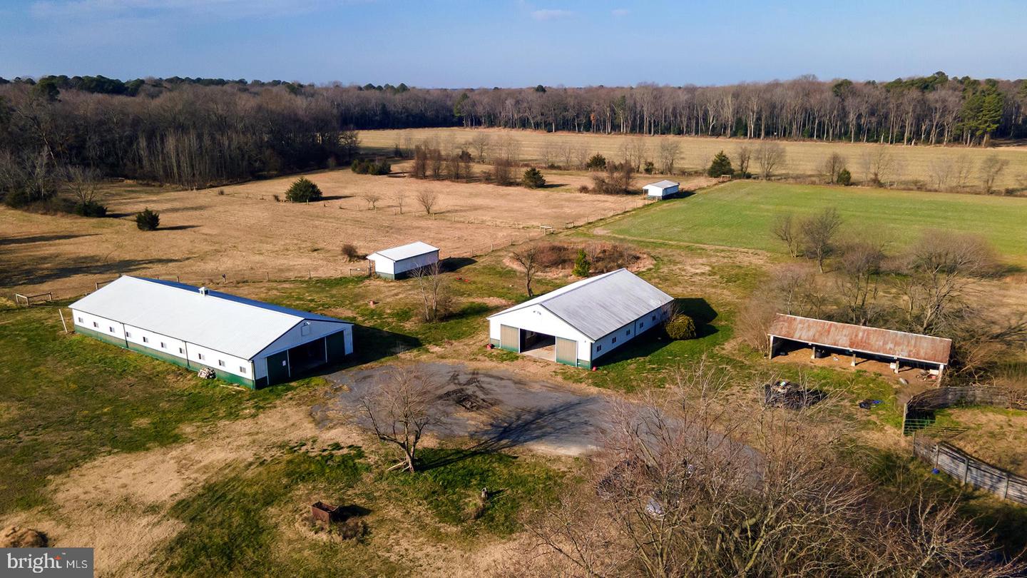 DESU2103768-804469268226-2026-01-30-00-14-27 6485 Epworth Church Rd | Bridgeville, DE Real Estate For Sale | MLS# Desu2103768 - Jack Lingo REALTOR DESU2103768-804469268226-2026-01-30-00-14-27 6485 Epworth Church Rd | Bridgeville, DE Real Estate For Sale | MLS# Desu2103768 - Jack Lingo REALTOR