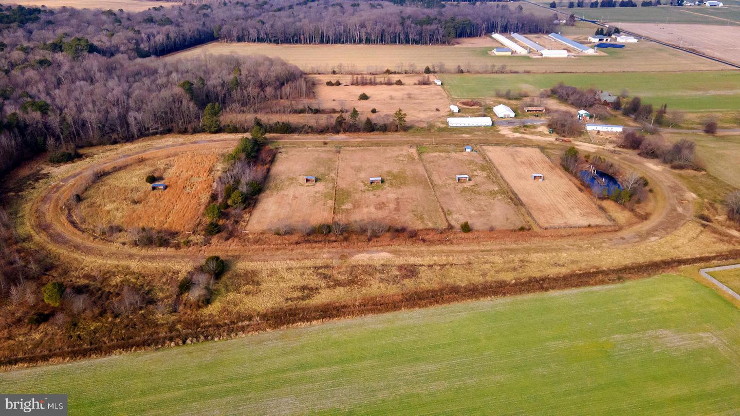 DESU2103768-804469268278-2026-01-30-00-14-27 6485 Epworth Church Rd | Bridgeville, DE Real Estate For Sale | MLS# Desu2103768 - Jack Lingo REALTOR DESU2103768-804469268278-2026-01-30-00-14-27 6485 Epworth Church Rd | Bridgeville, DE Real Estate For Sale | MLS# Desu2103768 - Jack Lingo REALTOR