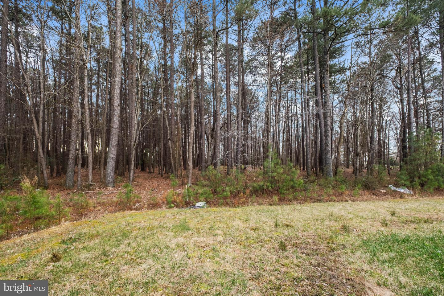 DESU2103908-804706024804-2026-03-31-00-09-50 11735 Buckingham Dr | Delmar, DE Real Estate For Sale | MLS# Desu2103908  - Jack Lingo REALTOR