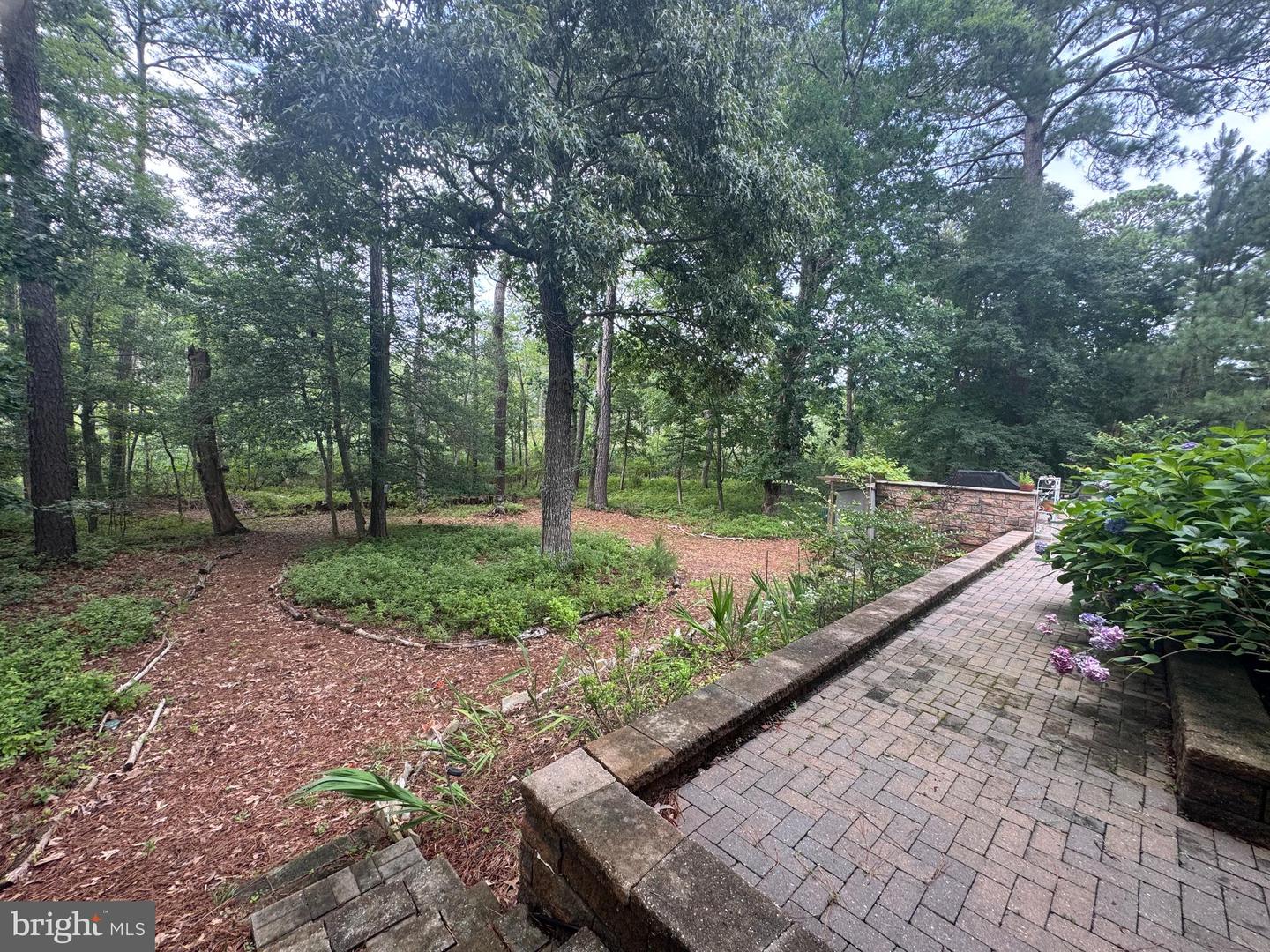 DESU2104020-804481606050-2026-02-12-00-18-26 23370 Horse Island Rd | Lewes, DE Real Estate For Sale | MLS# Desu2104020  - Jack Lingo REALTOR