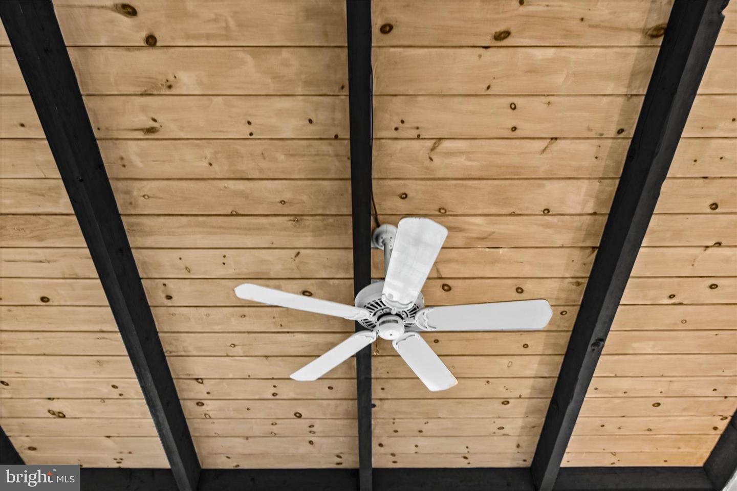 DESU2104176-804506628898-2026-02-05-18-23-40 1 New Orleans St #7 | Dewey Beach, DE Real Estate For Sale | MLS# Desu2104176 - Jack Lingo REALTOR DESU2104176-804506628898-2026-02-05-18-23-40 1 New Orleans St #7 | Dewey Beach, DE Real Estate For Sale | MLS# Desu2104176 - Jack Lingo REALTOR