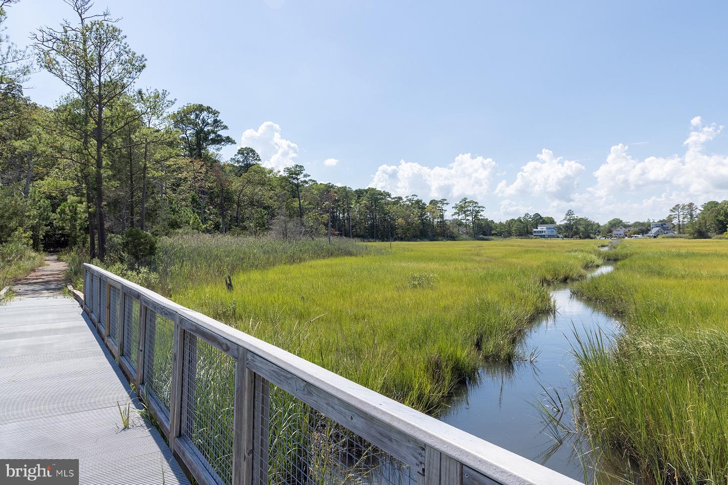 DESU2104362-804502972562-2026-03-05-11-40-56 115 Cornwall Rd | Rehoboth Beach, DE Real Estate For Sale | MLS# Desu2104362  - Jack Lingo REALTOR