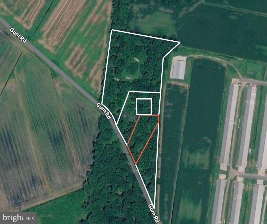 DESU2104450-804502717144-2026-02-04-13-49-18 Gum Rd | Frankford, DE Real Estate For Sale | MLS# Desu2104450 - Jack Lingo REALTOR DESU2104450-804502717144-2026-02-04-13-49-18 Gum Rd | Frankford, DE Real Estate For Sale | MLS# Desu2104450 - Jack Lingo REALTOR