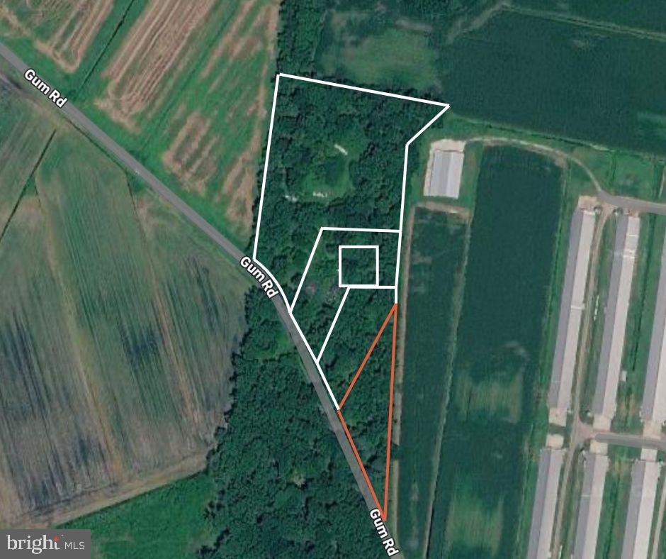 DESU2104452-804502735610-2026-02-04-13-52-51 Gum Rd | Frankford, DE Real Estate For Sale | MLS# Desu2104452  - Jack Lingo REALTOR