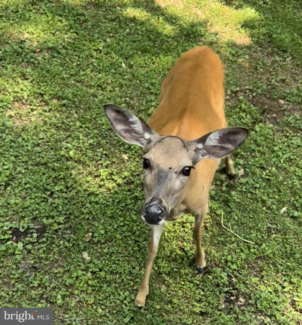 DESU2104494-804528885732-2026-02-12-17-53-23 38 Tributary Ln | Millville, DE Real Estate For Sale | MLS# Desu2104494  - Jack Lingo REALTOR