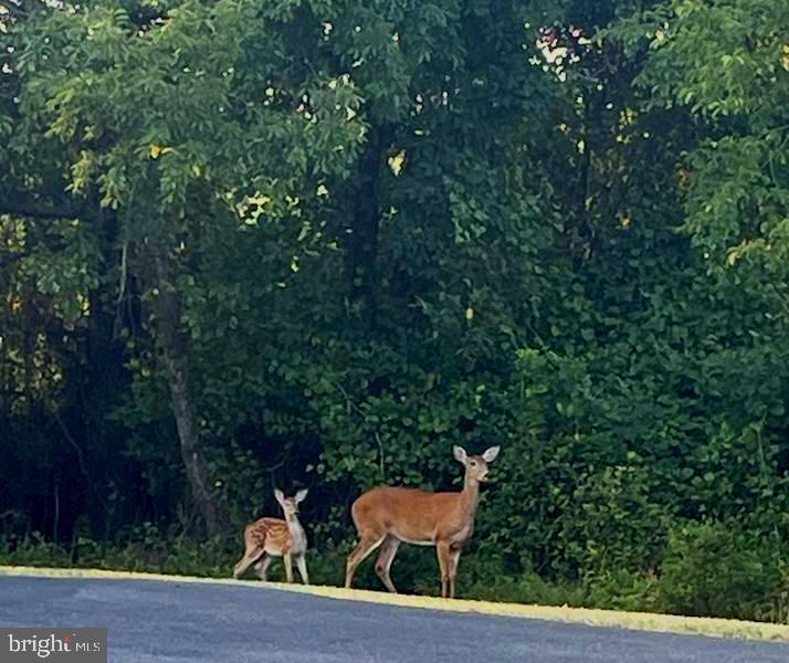 DESU2104494-804528885858-2026-02-12-17-53-23 38 Tributary Ln | Millville, DE Real Estate For Sale | MLS# Desu2104494  - Jack Lingo REALTOR