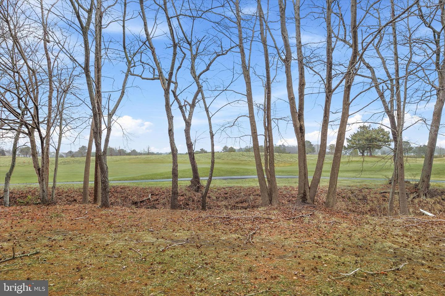 DESU2104624-804554002048-2026-02-21-00-10-56 139 Willow Oak Ave | Ocean View, DE Real Estate For Sale | MLS# Desu2104624  - Jack Lingo REALTOR