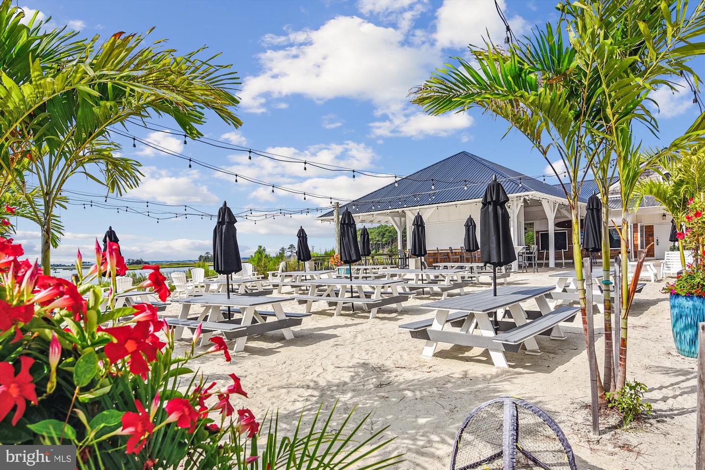 DESU2104684-804520072344-2026-02-27-16-10-32 36258 Waterleaf Way | Selbyville, DE Real Estate For Sale | MLS# Desu2104684  - Jack Lingo REALTOR