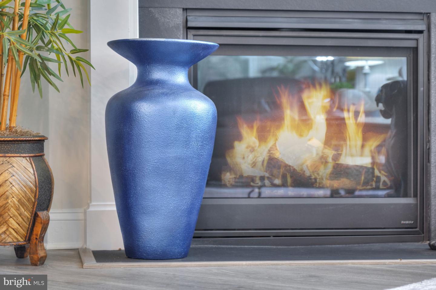 DESU2104700-804516337796-2026-03-25-15-54-01 30052 Simpler Br | Lewes, DE Real Estate For Sale | MLS# Desu2104700  - Jack Lingo REALTOR