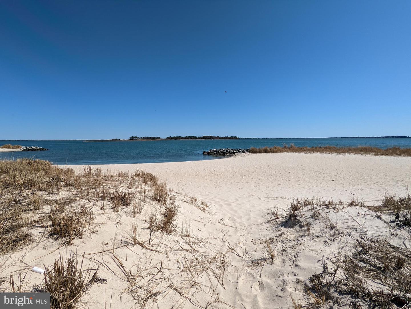 DESU2104708-804516590484-2026-02-09-13-49-17 33501 Grape St | Millsboro, DE Real Estate For Sale | MLS# Desu2104708 - Jack Lingo REALTOR DESU2104708-804516590484-2026-02-09-13-49-17 33501 Grape St | Millsboro, DE Real Estate For Sale | MLS# Desu2104708 - Jack Lingo REALTOR