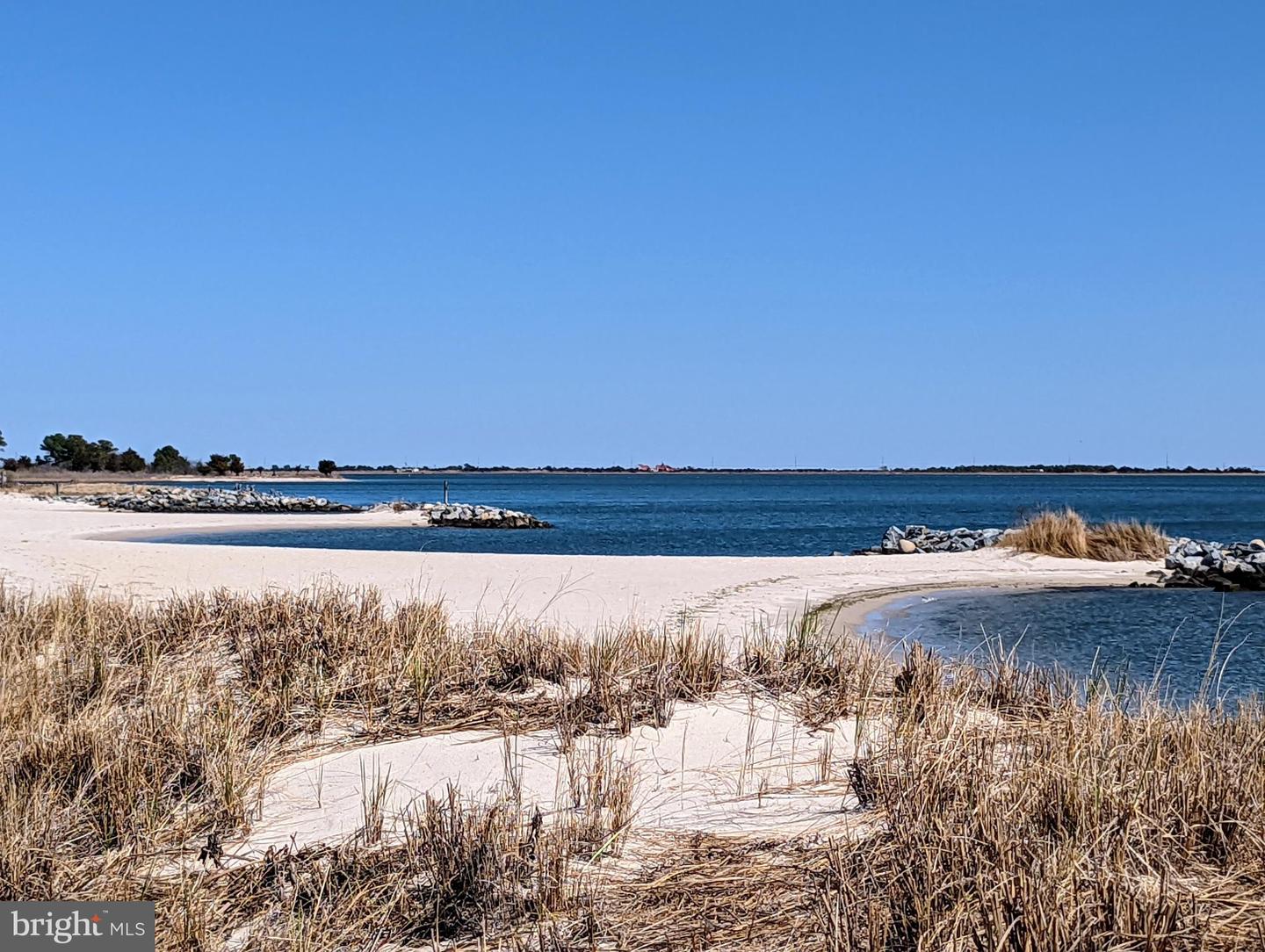 DESU2104708-804516591792-2026-02-09-13-49-19 33501 Grape St | Millsboro, DE Real Estate For Sale | MLS# Desu2104708 - Jack Lingo REALTOR DESU2104708-804516591792-2026-02-09-13-49-19 33501 Grape St | Millsboro, DE Real Estate For Sale | MLS# Desu2104708 - Jack Lingo REALTOR