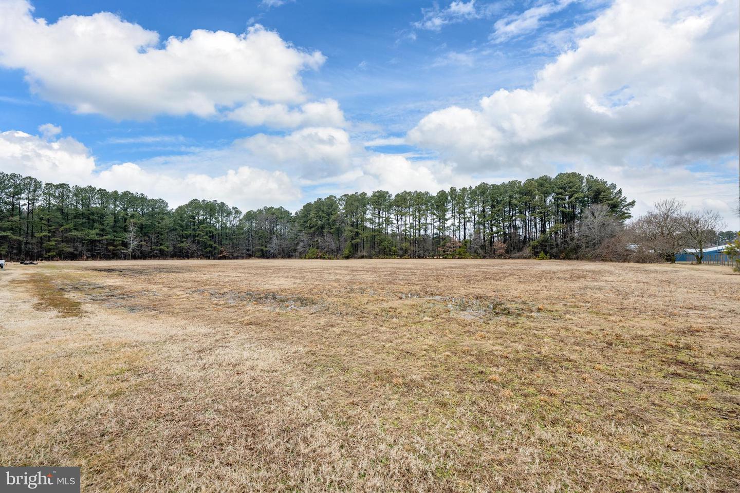 DESU2104716-804554127164-2026-02-20-12-32-21 10178 Jackson St | Delmar, DE Real Estate For Sale | MLS# Desu2104716  - Jack Lingo REALTOR