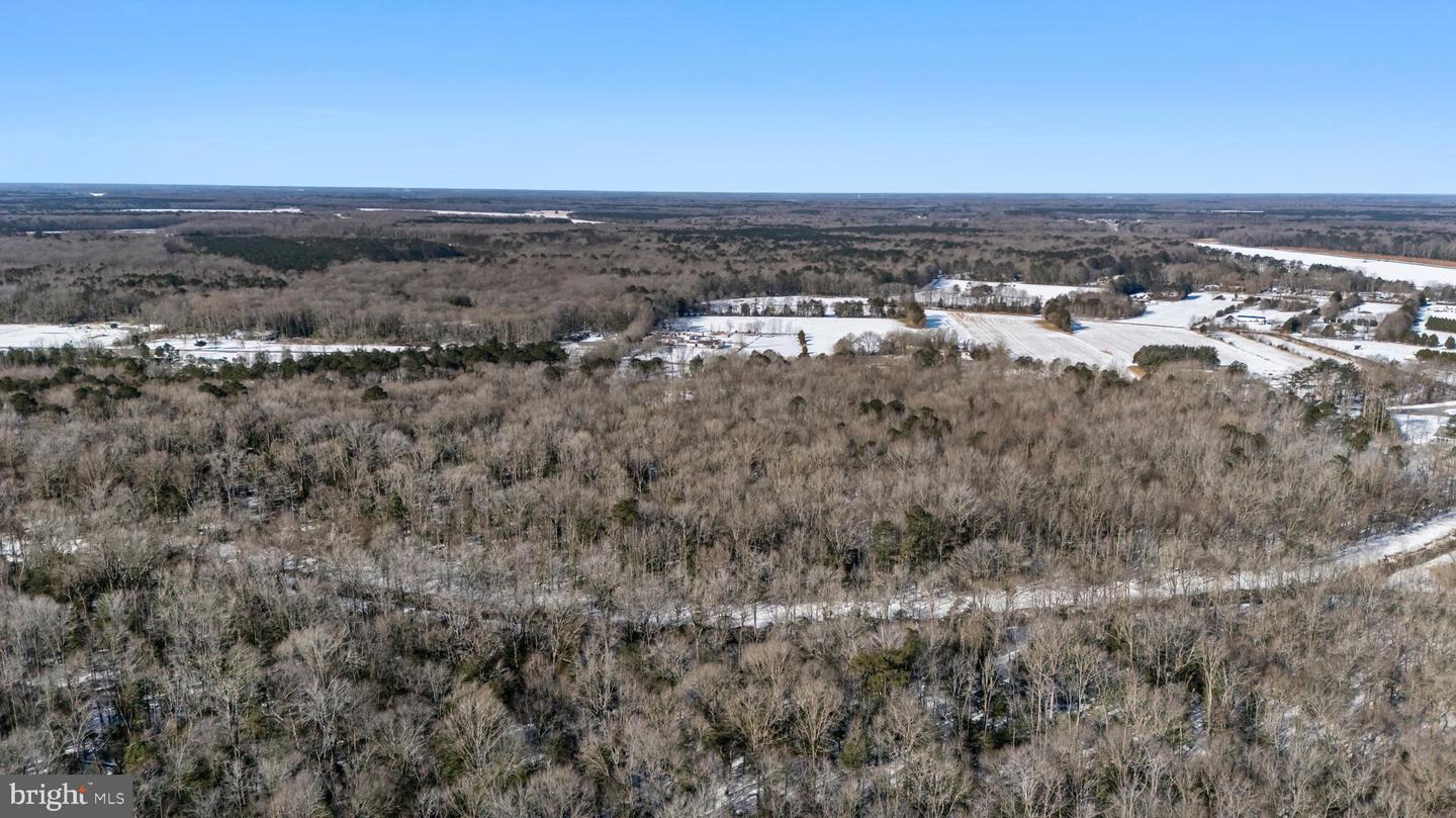 DESU2104830-804523079742-2026-02-11-15-05-22 13526 Beaver Dam Rd | Ellendale, DE Real Estate For Sale | MLS# Desu2104830 - Jack Lingo REALTOR DESU2104830-804523079742-2026-02-11-15-05-22 13526 Beaver Dam Rd | Ellendale, DE Real Estate For Sale | MLS# Desu2104830 - Jack Lingo REALTOR