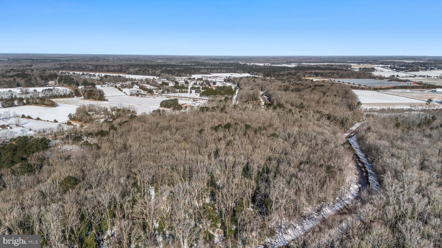 DESU2104830-804523079878-2026-02-11-15-05-22 13526 Beaver Dam Rd | Ellendale, DE Real Estate For Sale | MLS# Desu2104830 - Jack Lingo REALTOR DESU2104830-804523079878-2026-02-11-15-05-22 13526 Beaver Dam Rd | Ellendale, DE Real Estate For Sale | MLS# Desu2104830 - Jack Lingo REALTOR