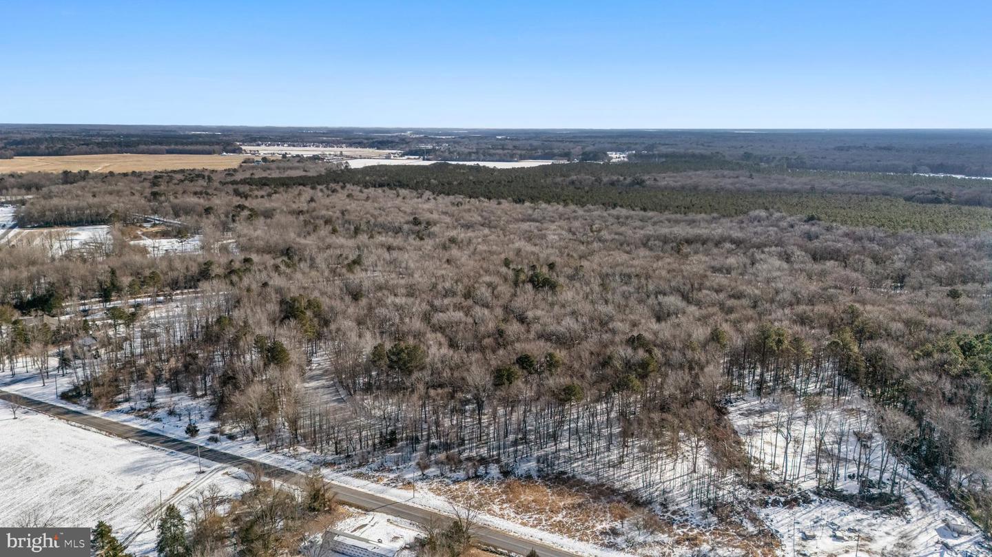 DESU2104830-804523079894-2026-02-11-15-05-22 13526 Beaver Dam Rd | Ellendale, DE Real Estate For Sale | MLS# Desu2104830 - Jack Lingo REALTOR DESU2104830-804523079894-2026-02-11-15-05-22 13526 Beaver Dam Rd | Ellendale, DE Real Estate For Sale | MLS# Desu2104830 - Jack Lingo REALTOR