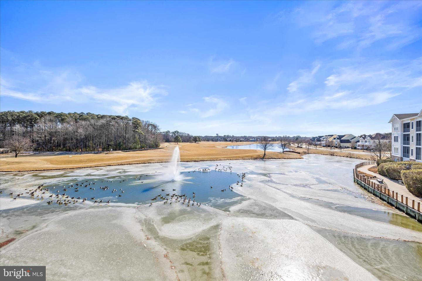 DESU2104870-804525187310-2026-02-17-14-24-45 31738 Lakeview Dr #203 | Selbyville, DE Real Estate For Sale | MLS# Desu2104870 - Jack Lingo REALTOR DESU2104870-804525187310-2026-02-17-14-24-45 31738 Lakeview Dr #203 | Selbyville, DE Real Estate For Sale | MLS# Desu2104870 - Jack Lingo REALTOR