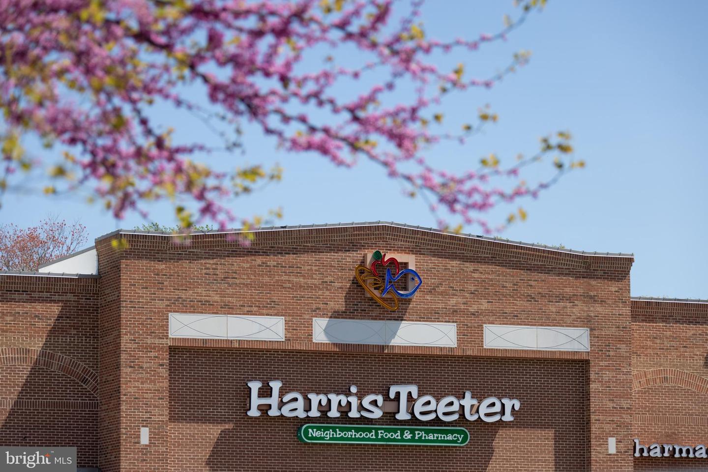 DESU2104870-804529183834-2026-02-17-14-24-46 31738 Lakeview Dr #203 | Selbyville, DE Real Estate For Sale | MLS# Desu2104870 - Jack Lingo REALTOR DESU2104870-804529183834-2026-02-17-14-24-46 31738 Lakeview Dr #203 | Selbyville, DE Real Estate For Sale | MLS# Desu2104870 - Jack Lingo REALTOR