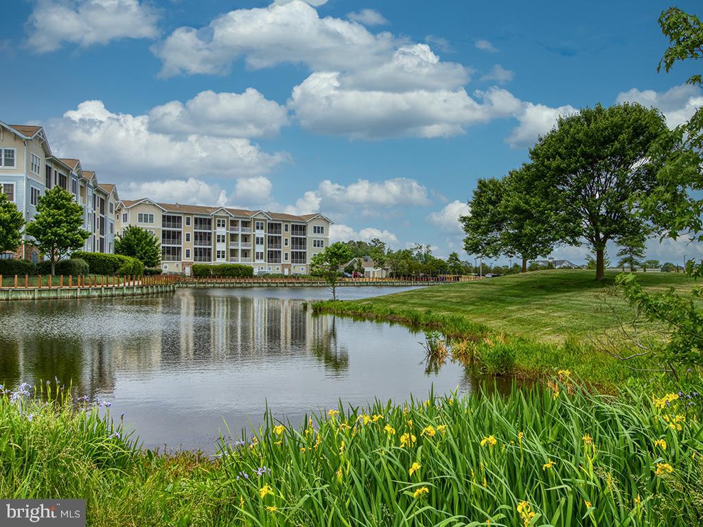 DESU2104870-804532377536-2026-02-17-14-24-45 31738 Lakeview Dr #203 | Selbyville, DE Real Estate For Sale | MLS# Desu2104870 - Jack Lingo REALTOR DESU2104870-804532377536-2026-02-17-14-24-45 31738 Lakeview Dr #203 | Selbyville, DE Real Estate For Sale | MLS# Desu2104870 - Jack Lingo REALTOR