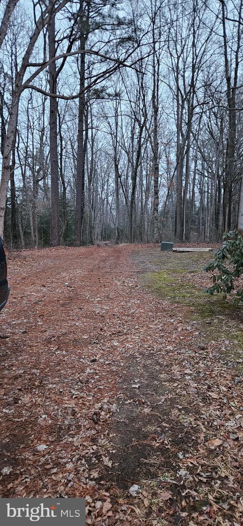 DESU2105128-804545039080-2026-02-18-11-19-44 17420 W. Hudson Pond Rd. | Lincoln, DE Real Estate For Sale | MLS# Desu2105128  - Jack Lingo REALTOR