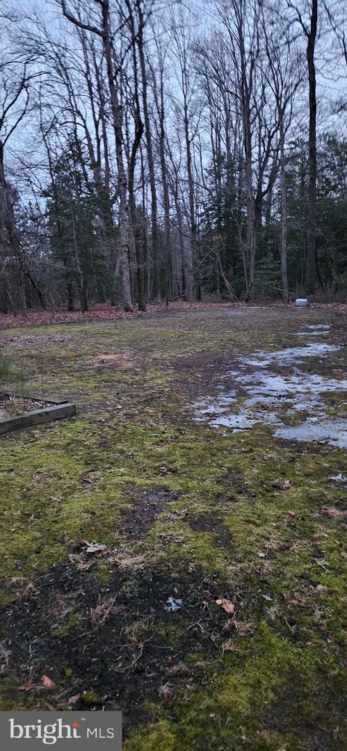 DESU2105128-804545041254-2026-02-18-11-26-13 17420 W. Hudson Pond Rd. | Lincoln, DE Real Estate For Sale | MLS# Desu2105128  - Jack Lingo REALTOR