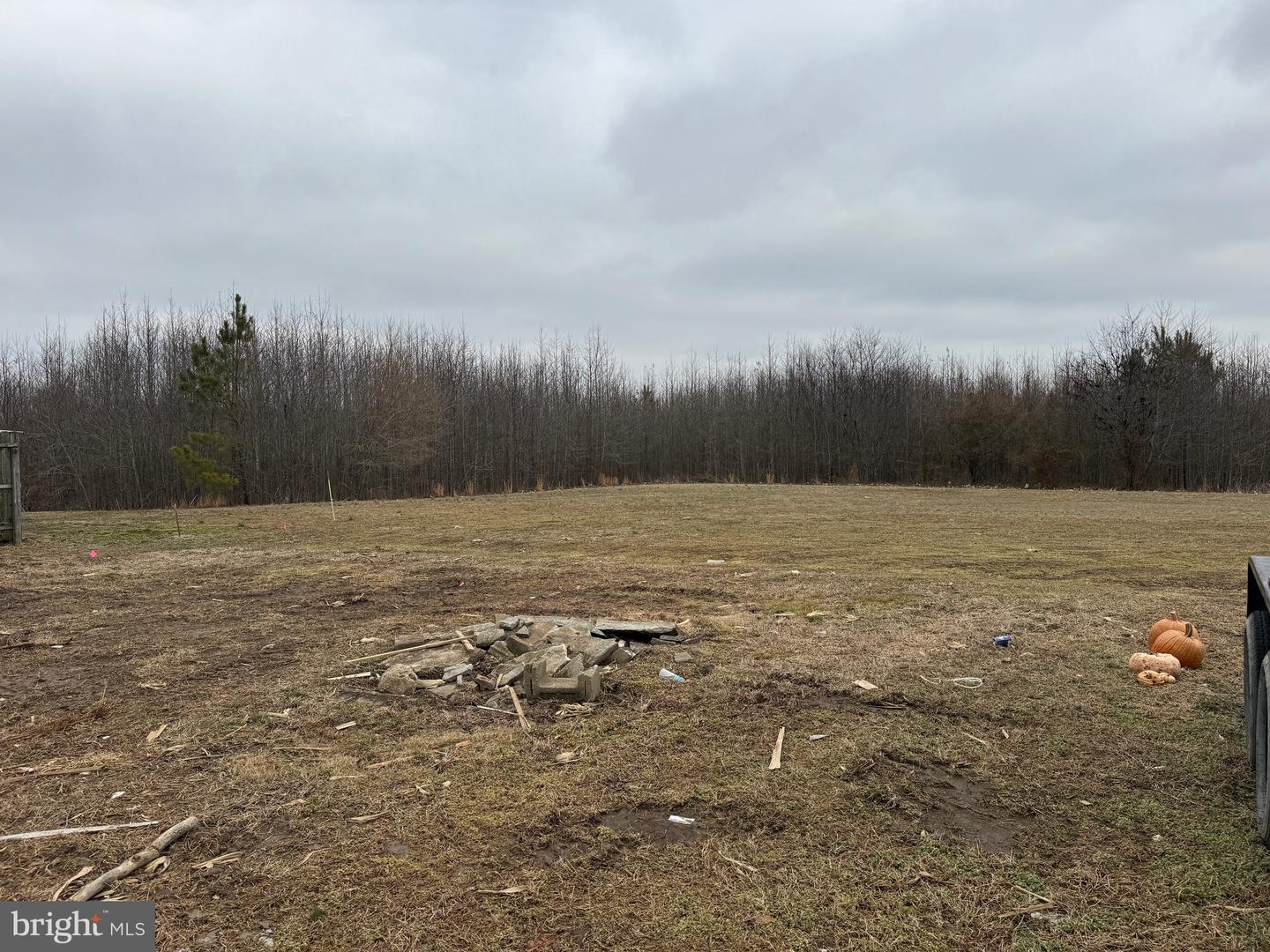 DESU2105218-804549977790-2026-03-24-18-28-12 11275 Sussex Hwy | Greenwood, DE Real Estate For Sale | MLS# Desu2105218  - Jack Lingo REALTOR