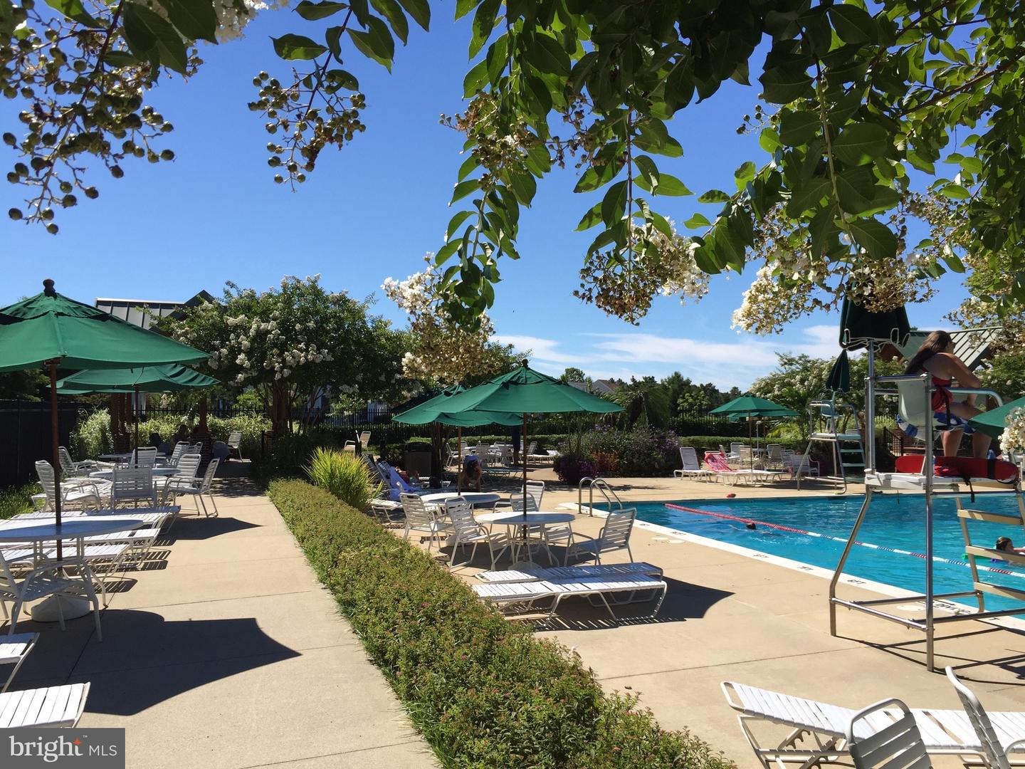 DESU2105268-804539783062-2026-02-19-22-16-55 176 October Glory Ave | Ocean View, DE Real Estate For Sale | MLS# Desu2105268 - Jack Lingo REALTOR DESU2105268-804539783062-2026-02-19-22-16-55 176 October Glory Ave | Ocean View, DE Real Estate For Sale | MLS# Desu2105268 - Jack Lingo REALTOR