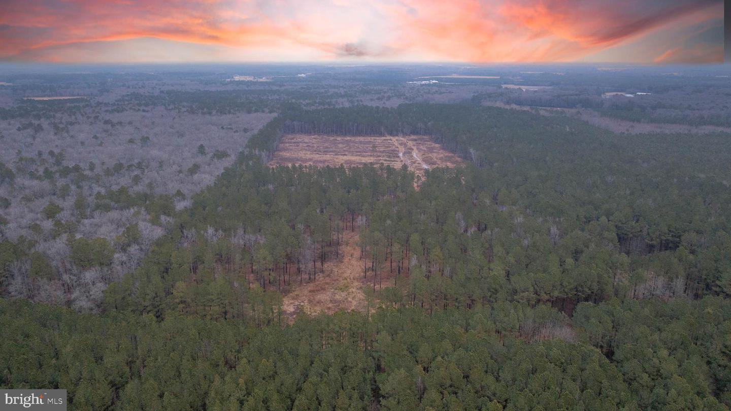 DESU2105362-804544013616-2026-02-18-12-35-29 0 Little Hill Rd. | Millsboro, DE Real Estate For Sale | MLS# Desu2105362  - Jack Lingo REALTOR