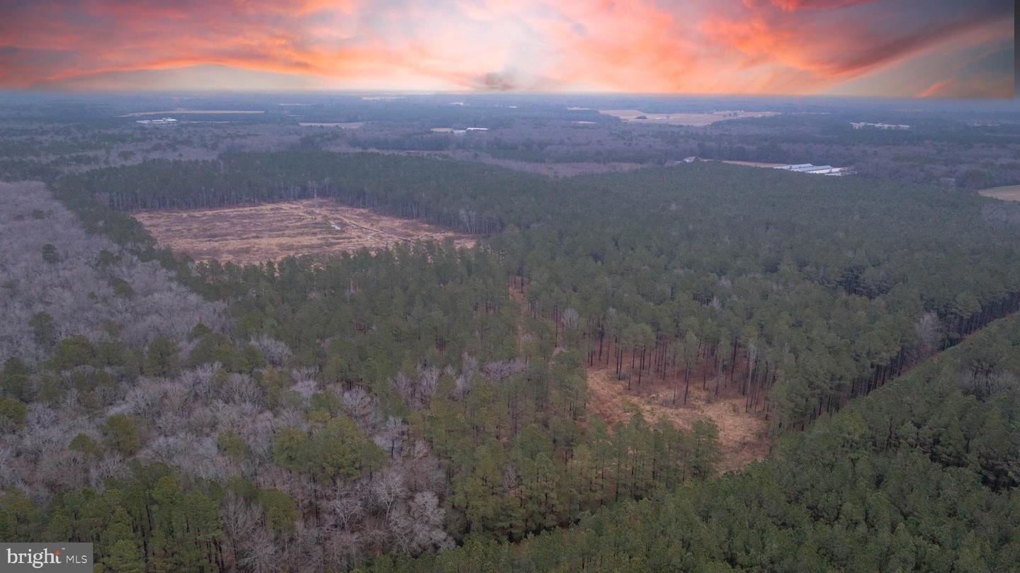 DESU2105362-804544013624-2026-02-18-12-35-30 0 Little Hill Rd. | Millsboro, DE Real Estate For Sale | MLS# Desu2105362  - Jack Lingo REALTOR