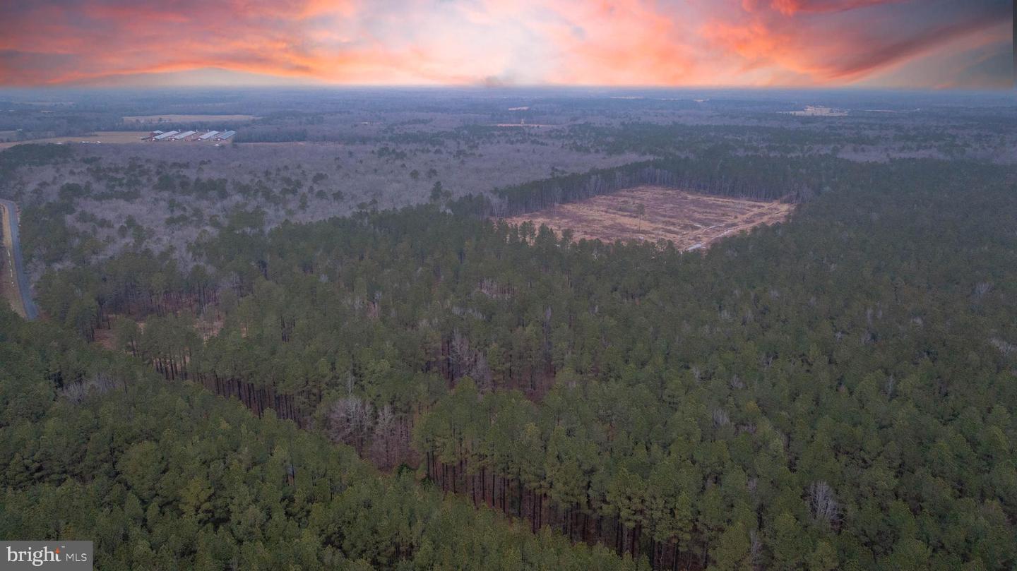 DESU2105362-804544013660-2026-02-18-12-35-29 0 Little Hill Rd. | Millsboro, DE Real Estate For Sale | MLS# Desu2105362  - Jack Lingo REALTOR