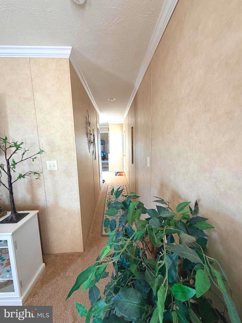 DESU2105458-804556778204-2026-02-21-10-06-42 38025 Rabbit Rd #101 | Ocean View, DE Real Estate For Sale | MLS# Desu2105458  - Jack Lingo REALTOR