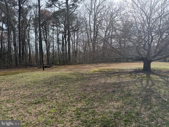 DESU2105508-804725843502-2026-04-03-16-09-29 37052 Double Bridges Rd | Frankford, DE Real Estate For Sale | MLS# Desu2105508 - Jack Lingo REALTOR DESU2105508-804725843502-2026-04-03-16-09-29 37052 Double Bridges Rd | Frankford, DE Real Estate For Sale | MLS# Desu2105508 - Jack Lingo REALTOR