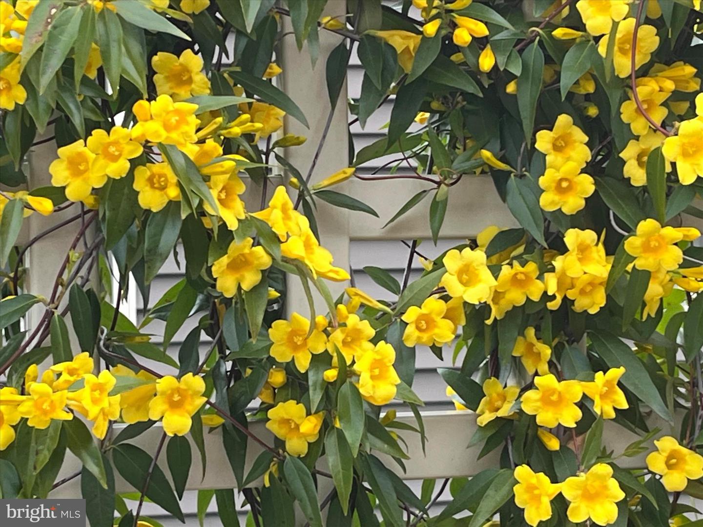 DESU2105520-804657224384-2026-03-19-11-12-03 25016 Tannin Cir | Milton, DE Real Estate For Sale | MLS# Desu2105520  - Jack Lingo REALTOR